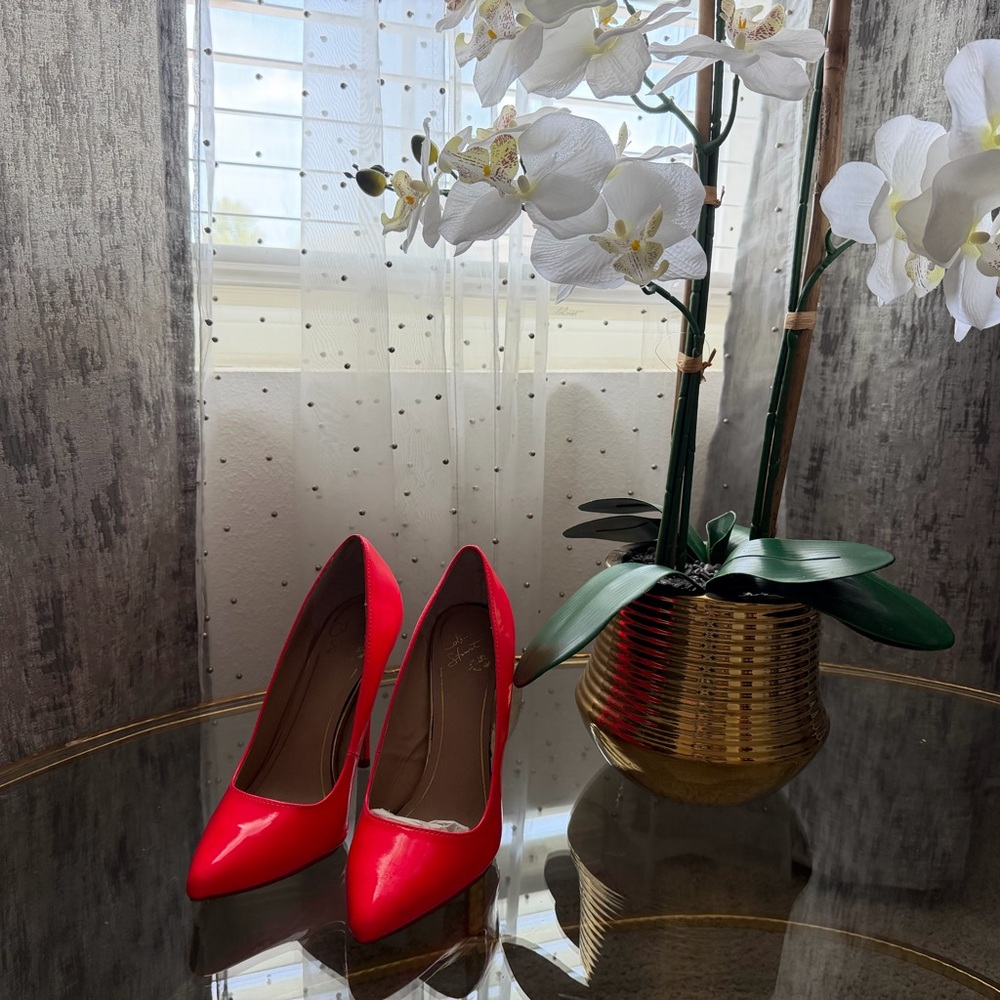Colin Stuart Heels